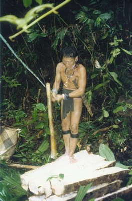 Preoar