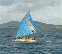 Single rigger canoe